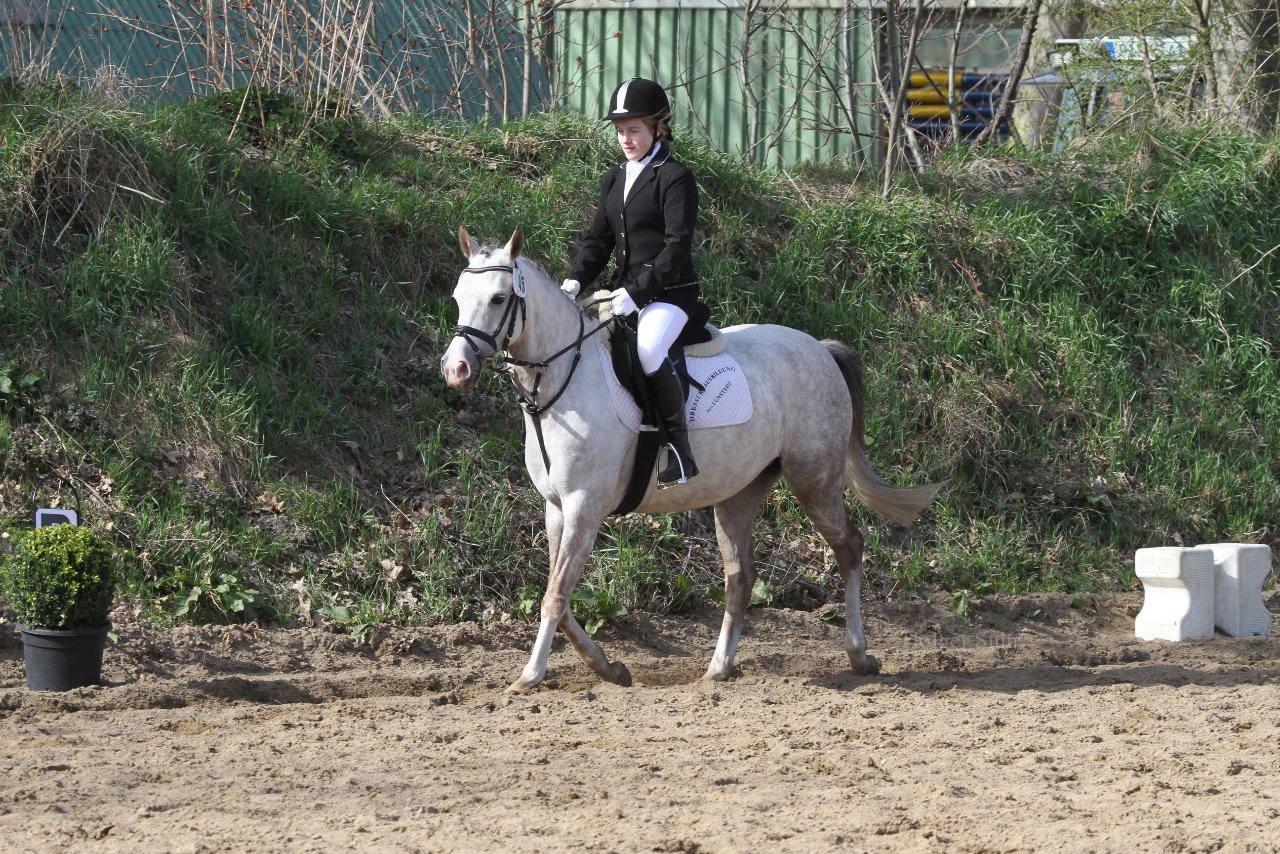 Bild 1180 - WBO-Turnier am 9.4.11